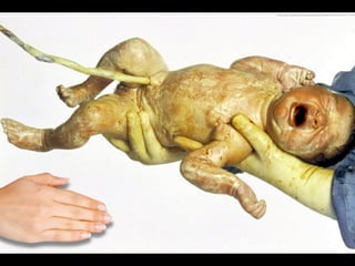 Branding Vs Marketing - Brand Design - Brandia Central