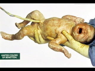 Branding Vs Marketing - Brand Design - Brandia Central