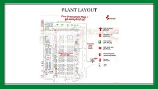 PLANT LAYOUT
 