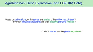 AgriSchemas: Gene Expression (and EBI/GXA Data)
Based on publications, which genes are related to the yellow rust disease?...