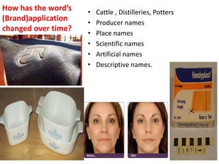 How has the word’s
(Brand)application
changed over time?
• Cattle , Distilleries, Potters
• Producer names
• Place names
• Scientific names
• Artificial names
• Descriptive names.
 