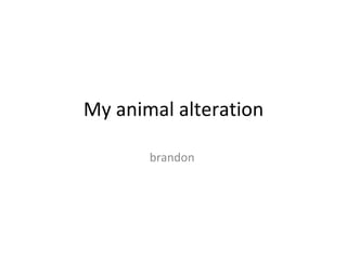 My animal alteration brandon 