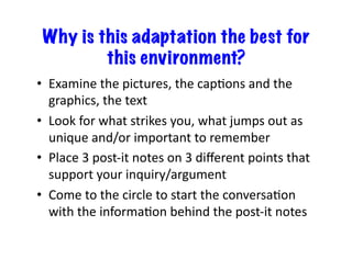 Why is this adaptation the best for
this environment?
•  Examine	
  the	
  pictures,	
  the	
  capEons	
  and	
  the	
  
graphics,	
  the	
  text	
  
•  Look	
  for	
  what	
  strikes	
  you,	
  what	
  jumps	
  out	
  as	
  
unique	
  and/or	
  important	
  to	
  remember	
  
•  Place	
  3	
  post-­‐it	
  notes	
  on	
  3	
  diﬀerent	
  points	
  that	
  
support	
  your	
  inquiry/argument	
  
•  Come	
  to	
  the	
  circle	
  to	
  start	
  the	
  conversaEon	
  
with	
  the	
  informaEon	
  behind	
  the	
  post-­‐it	
  notes	
  

 