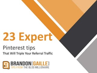 23 Expert
Pinterest tips
That Will Triple Your Referral Traffic
 