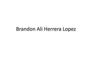 Brandon Ali Herrera Lopez
 