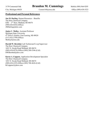 Brandon Cummings Detailed Resume 2010