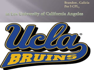 Brandon , Galicia Per 5 CPL3 in Los University of California Angeles  