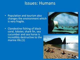 Issues: Humans

• Population and tourism also
  changes the environment which
  is very fragile.

• Clandestine fishing of black
  coral, lobster, shark fin, sea
  cucumber and sea horse is
  incredibly destructive to the
  marine life.(1)
 