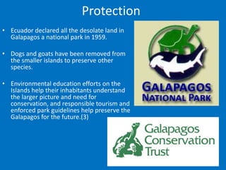 Protection
• Ecuador declared all the desolate land in
  Galapagos a national park in 1959.

• Dogs and goats have been removed from
  the smaller islands to preserve other
  species.

• Environmental education efforts on the
  Islands help their inhabitants understand
  the larger picture and need for
  conservation, and responsible tourism and
  enforced park guidelines help preserve the
  Galapagos for the future.(3)
 