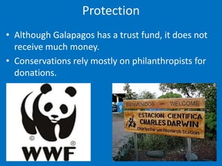 Protection
• Although Galapagos has a trust fund, it does not
  receive much money.
• Conservations rely mostly on philanthropists for
  donations.
 