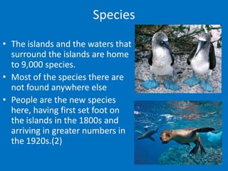 Species

• The islands and the waters that
  surround the islands are home
  to 9,000 species.
• Most of the species there are
  not found anywhere else
• People are the new species
  here, having first set foot on
  the islands in the 1800s and
  arriving in greater numbers in
  the 1920s.(2)
 