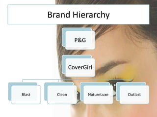Brand Hierarchy

                    P&G



                  CoverGirl



Blast     Clean           NatureLuxe   Outlast
 