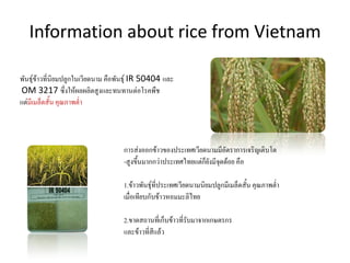 Information about rice from Vietnam
พันธุ์ข้าวที่นิยมปลูกในเวียดนาม คือพันธุ์ IR 50404 และ
OM 3217 ซึ่งให้ผลผลิตสูงและทนทานต่อโรคพืช
แต่มีเมล็ดสั้น คุณภาพต่้า
การส่งออกข้าวของประเทศเวียดนามมีอัตราการเจริญเติบโต
-สูงขึ้นมากกว่าประเทศไทยแต่ก็ยังมีจุดด้อย คือ
1.ข้าวพันธุ์ที่ประเทศเวียดนามนิยมปลูกมีเมล็ดสั้น คุณภาพต่้า
เมื่อเทียบกับข้าวหอมมะลิไทย
2.ขาดสถานที่เก็บข้าวที่รับมาจากเกษตรกร
และข้าวที่สีแล้ว
 