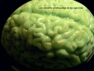 Los cerebros privilegiados de las agencias
 