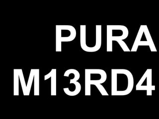 PURA
M13RD4
 