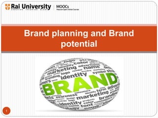 1 
Brand planning and Brand 
potential 
 