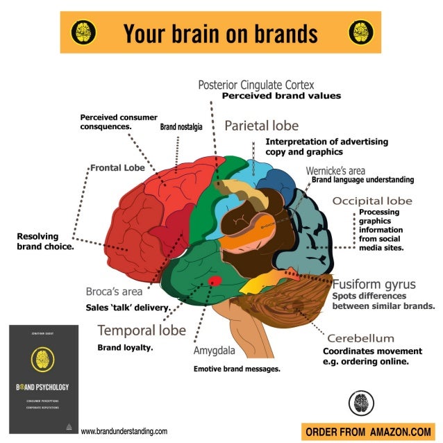 Brand psychology your brain on brands infographic