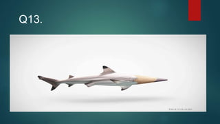 Q13.
 