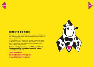 Brand Savvy Brochure