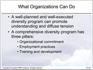 What Organizations Can Do A well-planned and well-executed diversity program can promote understanding and diffuse tension A comprehensive diversity program has three pillars: Organizational commitment Employment practices Training and development 