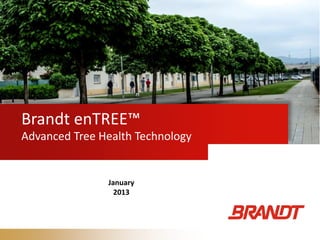 Brandt enTREE™
Advanced Tree Health Technology
January
2013
 