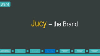 Brand 
Jucy – the Brand 
Industry Analysis & 
Market Understanding 
TG Selection Marketing Mix Brand Building 
Trade Marketing 
Strategy 
Monitoring & 
Evaluation 
Implementation 
Feasibility 
 