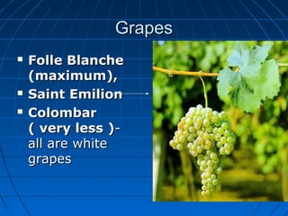 GrapesGrapes
 Folle BlancheFolle Blanche
(maximum),(maximum),
 Saint EmilionSaint Emilion
 ColombarColombar
( very less )( very less )--
all are whiteall are white
grapesgrapes
 