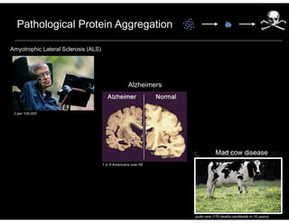 3
Pathological Protein Aggregation
Text
Alzheimers
Mad cow disease
Amyotrophic Lateral Sclerosis (ALS)
2 per 100,000
1 in 9 Americans over 65
quite rare (170 deaths worldwide in 10 years)
 