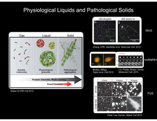 Physiological Liquids and Pathological Solids
Zhang, CPB, Gladfelter et.al. Molecular Cell, 2015
Whi3
Patel, Lee, Hyman, Alberti Cell 2015
FUS
Molliex, Mittag,
Taylor et.al. Cell 2015
Lin, Protter, Rosen, Parker
Molecular Cell, 2015
hnRNPA1
Weber & CPB Cell 2012
 