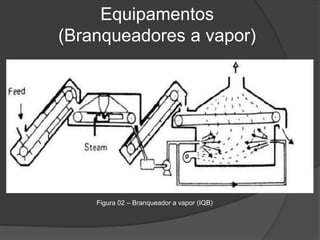 Equipamentos
(Branqueadores a vapor)
Figura 02 – Branqueador a vapor (IQB)
 