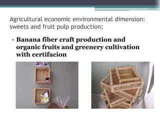 Agricultural economic environmental dimension:
sweets and fruit pulp production;
? Banana fiber craft production and
organic fruits and greenery cultivation
with certifacion
 