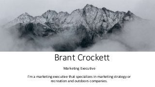 Brant Crockett
Marketing Executive
I'm a marketing executive that specializes in marketing strategy or
recreation and outdoors companies.
 