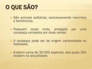 O QUE SÃO?
 São animais solitários, exclusivamente marinhos
e bentónicos;
 Possuem corpo mole, protegido por uma
carapaça composta por duas valvas;
 A carapaça pode ser de origem carbonatada ou
fosfatada;
 Existem cerca de 30.000 espécies, das quais 330
existem na actualidade.
 