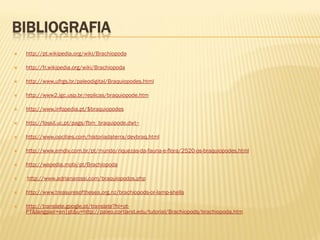 BIBLIOGRAFIA
 http://pt.wikipedia.org/wiki/Brachiopoda
 http://fr.wikipedia.org/wiki/Brachiopoda
 http://www.ufrgs.br/paleodigital/Braquiopodes.html
 http://www2.igc.usp.br/replicas/braquiopode.htm
 http://www.infopedia.pt/$braquiopodes
 http://fossil.uc.pt/pags/fbm_braquipode.dwt~
 http://www.oocities.com/historiadaterra/devbraq.html
 http://www.emdiv.com.br/pt/mundo/riquezas-da-fauna-e-flora/2520-os-braquiopodes.html
 http://wapedia.mobi/pt/Brachiopoda
 http://www.adrianarossi.com/braquiopodos.php
 http://www.treasuresofthesea.org.nz/brachiopods-or-lamp-shells
 http://translate.google.pt/translate?hl=pt-
PT&langpair=en|pt&u=http://paleo.cortland.edu/tutorial/Brachiopods/brachiopoda.htm
 
