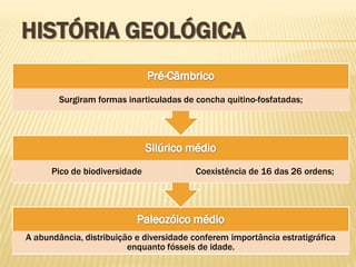 A abundância, distribuição e diversidade conferem importância estratigráfica
enquanto fósseis de idade.
Pico de biodiversidade Coexistência de 16 das 26 ordens;
Surgiram formas inarticuladas de concha quitino-fosfatadas;
HISTÓRIA GEOLÓGICA
 