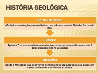 Desde o Mesozóico que os Bivalves dominaram os Braquiópodes, que passaram
a estar confinados a ambientes extremos.
Apenas 7 ordens subsistiram à extinção em massa permo-triássica tendo 2
delas desaparecido no Jurássico;
Afectados na extinção permo-triássica, que vitimou cerca de 90% das formas de
vida;
HISTÓRIA GEOLÓGICA
 
