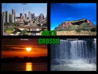 MATO GROSSO 