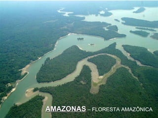 AMAZONAS  – FLORESTA AMAZÔNICA 