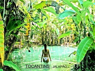 TOCANTINS   –  JALAPÃO 