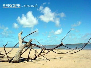 SERGIPE   –  ARACAJÚ 