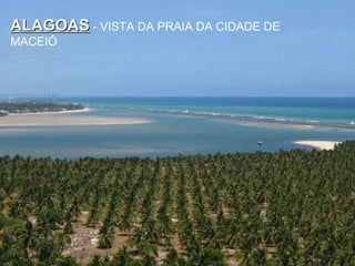 ALAGOAS  - VISTA DA PRAIA DA CIDADE DE MACEIÓ 