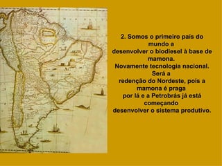 2. Somos o primeiro país do mundo a  desenvolver o biodiesel à base de mamona.  Novamente tecnologia nacional. Será a  redenção do Nordeste, pois a mamona é praga  por lá e a Petrobrás já está começando  desenvolver o sistema produtivo. 