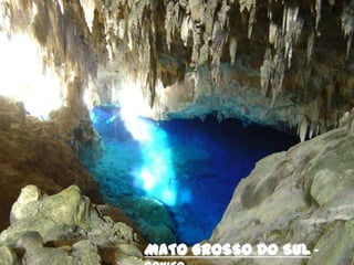 MATO GROSSO DO SUL -
 