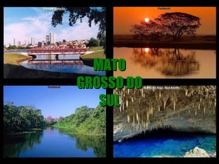 MATO GROSSO DO SUL