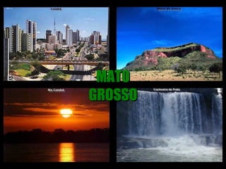 MATO GROSSO