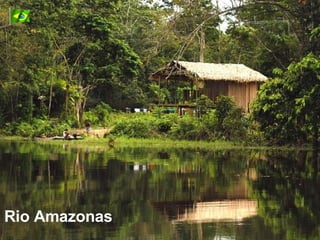 Rio Amazonas 