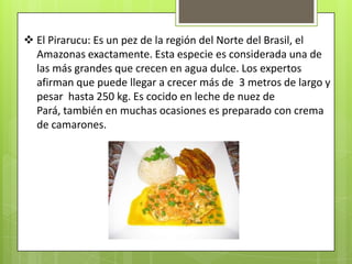  El Pirarucu: Es un pez de la región del Norte del Brasil, el
  Amazonas exactamente. Esta especie es considerada una de
  las más grandes que crecen en agua dulce. Los expertos
  afirman que puede llegar a crecer más de 3 metros de largo y
  pesar hasta 250 kg. Es cocido en leche de nuez de
  Pará, también en muchas ocasiones es preparado con crema
  de camarones.
 