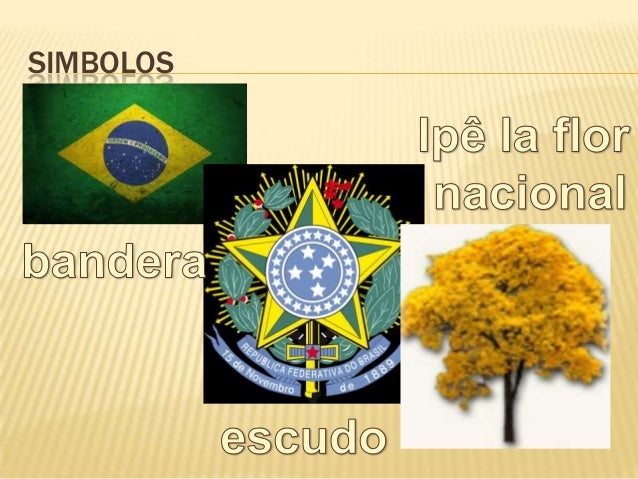 simbolos naturales de brasil brasil simbolos naturales de brasil brasil