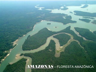 AMAZONASAMAZONAS – FLORESTA AMAZÔNICA
 
