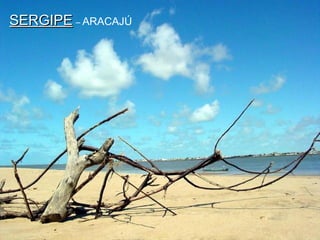 SERGIPESERGIPE – ARACAJÚ
 